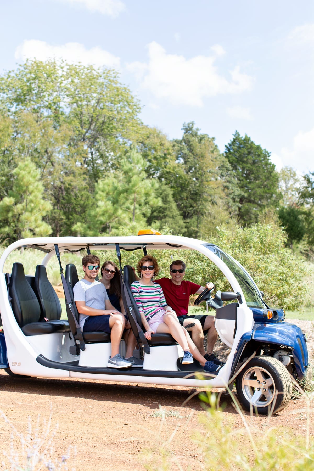 four adults in a luxury golf cart at long cove