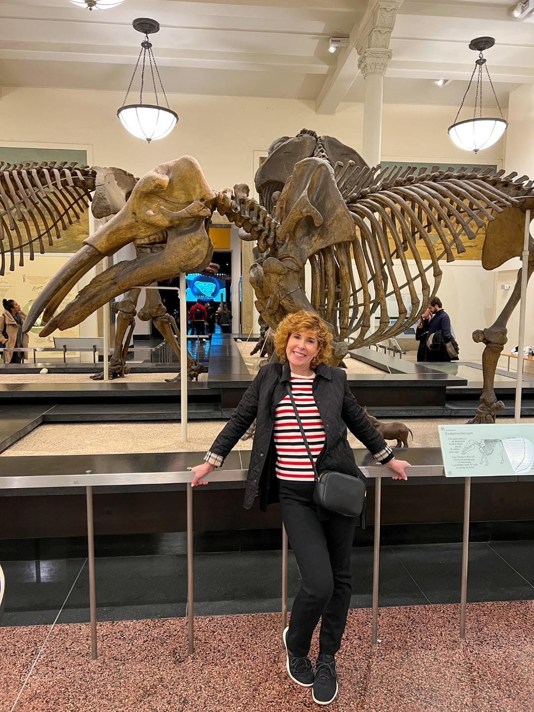 woman dressed in striped top and black pants standing in front of a dinosaur skeleton at the american museum of natural history in new york city