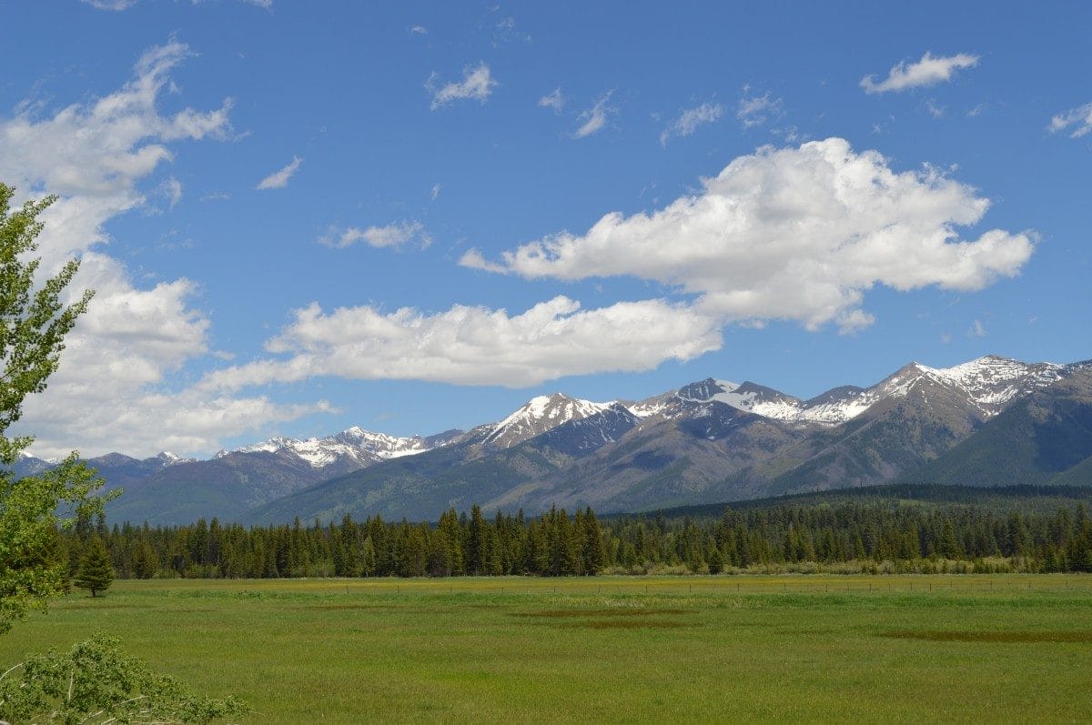 scenery of big fork montana